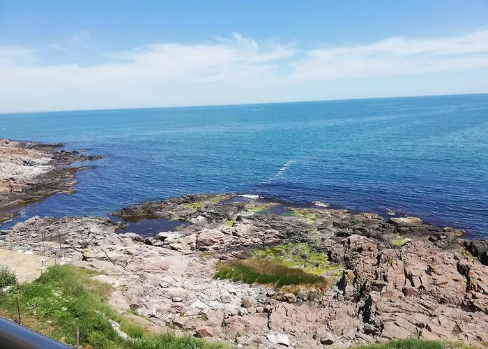 за гости чайка град Gasthuis