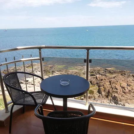 за гости чайка град سوزوبول